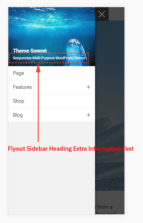 Flyout Sidebar Heading Extra Information Text.